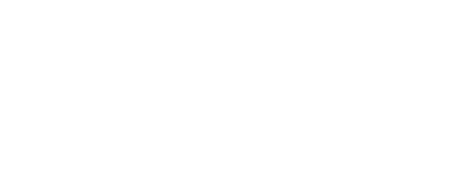 GlobX